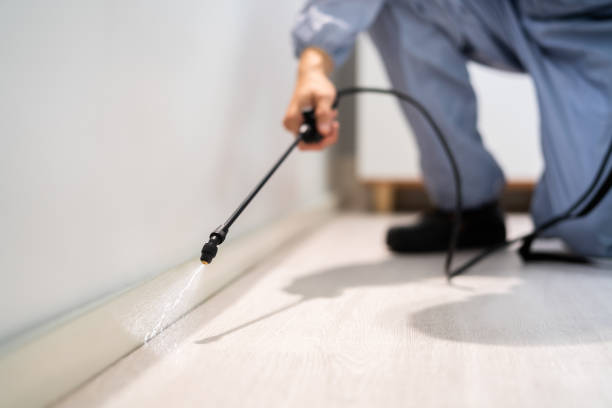 Licensed Mosquito Control service in Monroeville, AL - Show Me Pest Control
