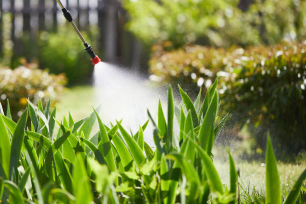 24/7 Emergency Mosquito Control experts in Monroeville, AL